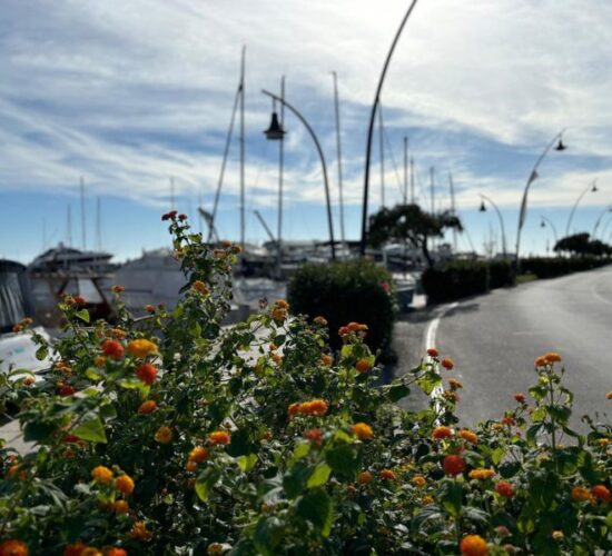 Hotel Aurora mezza pensione Castiglione della Pescaia - vacanze d'autunno